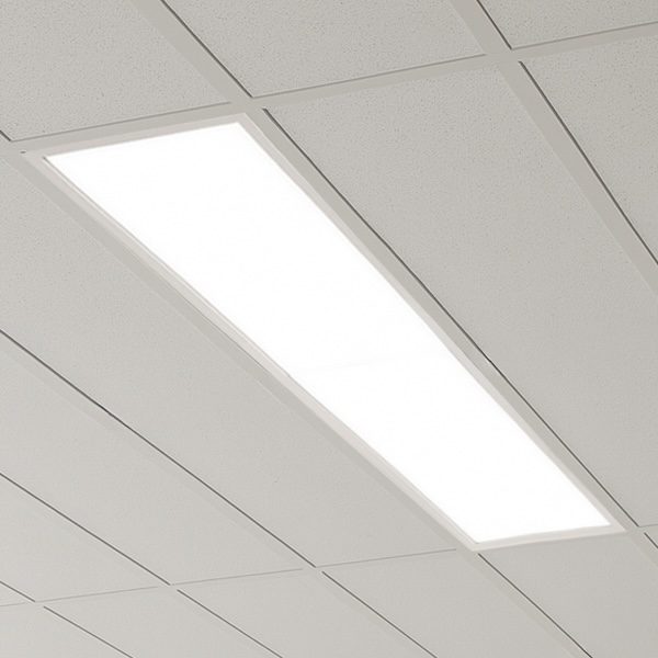 1200x300-Render Cropped