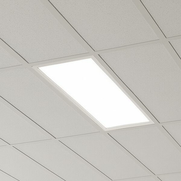 600x300-hero-new Closeup