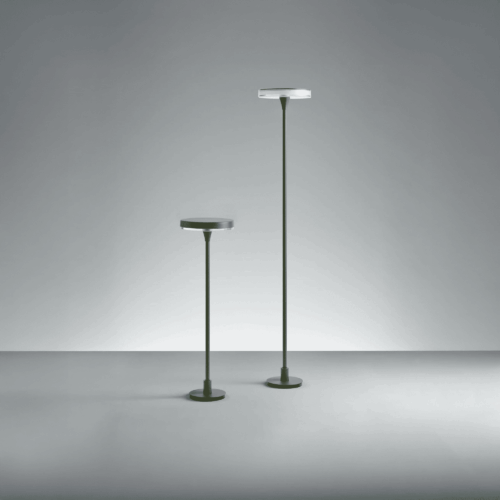 Diomede Olive Green Lila SQ